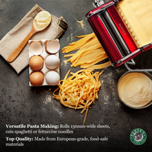 Load image into Gallery viewer, SALE! Fante's Great Aunt Gina Pasta Machine