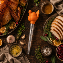 Load image into Gallery viewer, Turkey Roasting Baster with Cleaning Brush