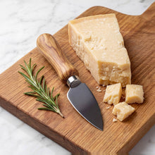 Load image into Gallery viewer, Parmesan Cheese Knife with Italian Olivewood Handle