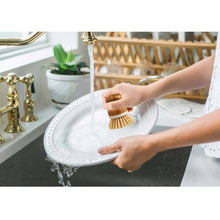 Load image into Gallery viewer, HIC Kitchen Bamboo Handle Dishwashing Vegetable Brush