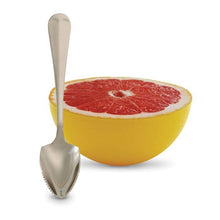 Load image into Gallery viewer, HIC Kitchen Serrated Edge Grapefruit Spoon Set Of 2