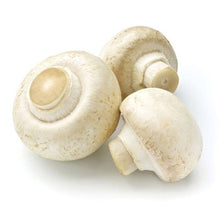 Load image into Gallery viewer, HIC Kitchen Brush, Mushroom
