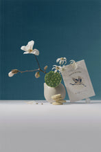 Load image into Gallery viewer, Matcha Toasted Black Sesame Cookies - Uji