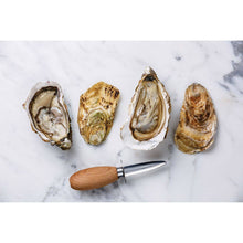 Load image into Gallery viewer, Maine Man Oyster Knife
