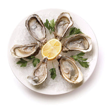 Load image into Gallery viewer, Maine Man Oyster Knife