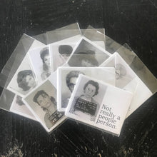 Load image into Gallery viewer, BIG HOUSE Stickers! Ed was confused...