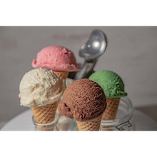 Load image into Gallery viewer, HIC Kitchen Anti Freeze Ice Cream Scoop