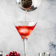 Load image into Gallery viewer, HIC Bar Stainless Steel Cocktail Shaker